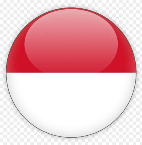 Indonesian Flag