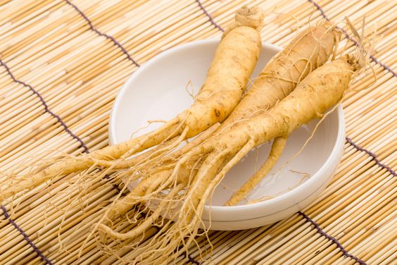 Panax Ginseng